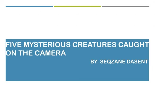 Mysterious Creatures Caught on Camera by Seqzane Dasent