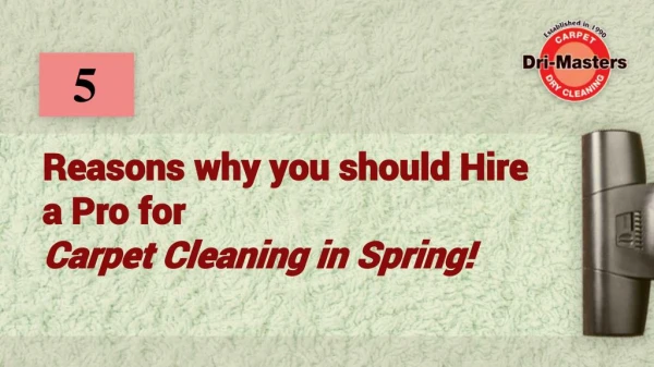 Reasons Why You Should Hire a Pro for Carpet Cleaning in Spring