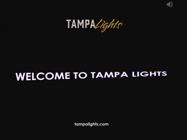 Lighting Services in Tampa - Tampa Lights