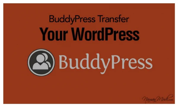 BuddyPress: Transfer Your WordPress into a Social Networking Platform