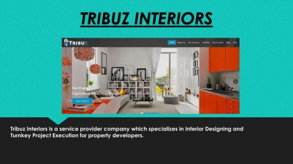 pet clinic Interior Designing service - tribuz interiors