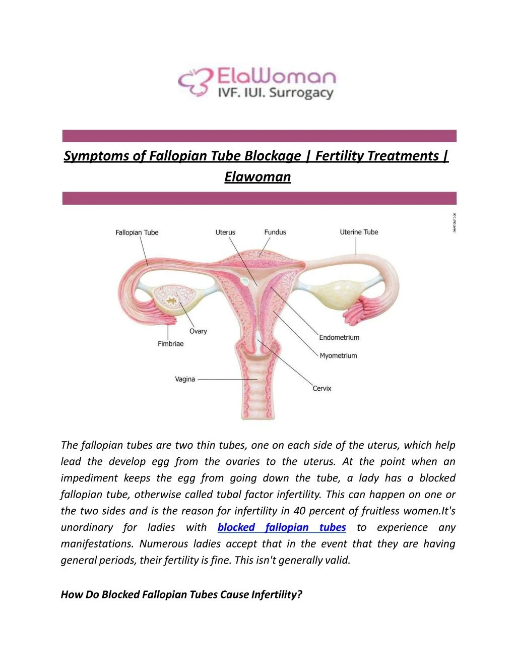 symptoms of fallopian tube blockage fertility