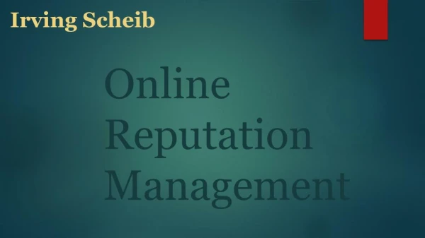 Irving Scheib California (USA) - Online Reputation Management