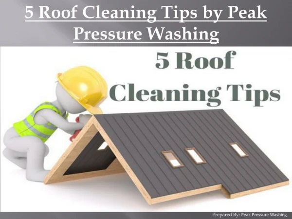 5 Roof Stain Removal Tips by Peak Pressure Washing
