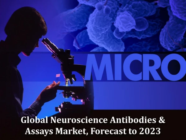 Global Neuroscience Antibodies & Assays Market, Forecast to 2023