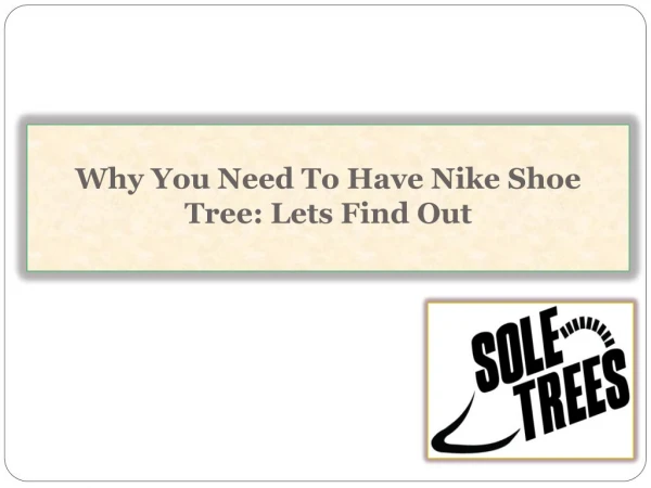 Why You Need To Have Nike Shoe Tree: Lets Find Out