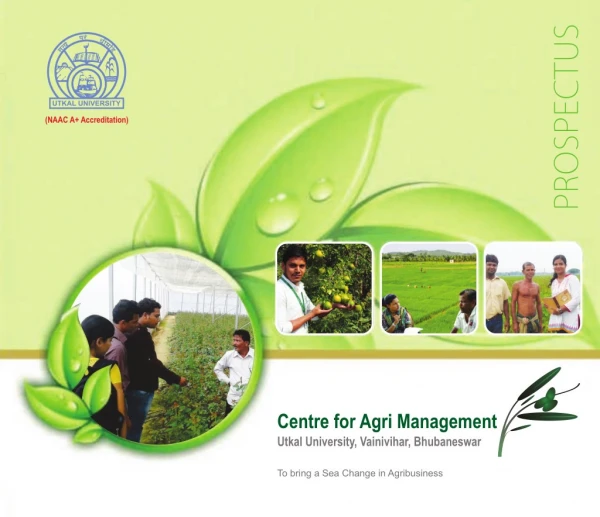 Agribusiness Management Institute in India Admission