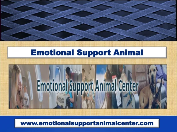 Emotional Support Animal