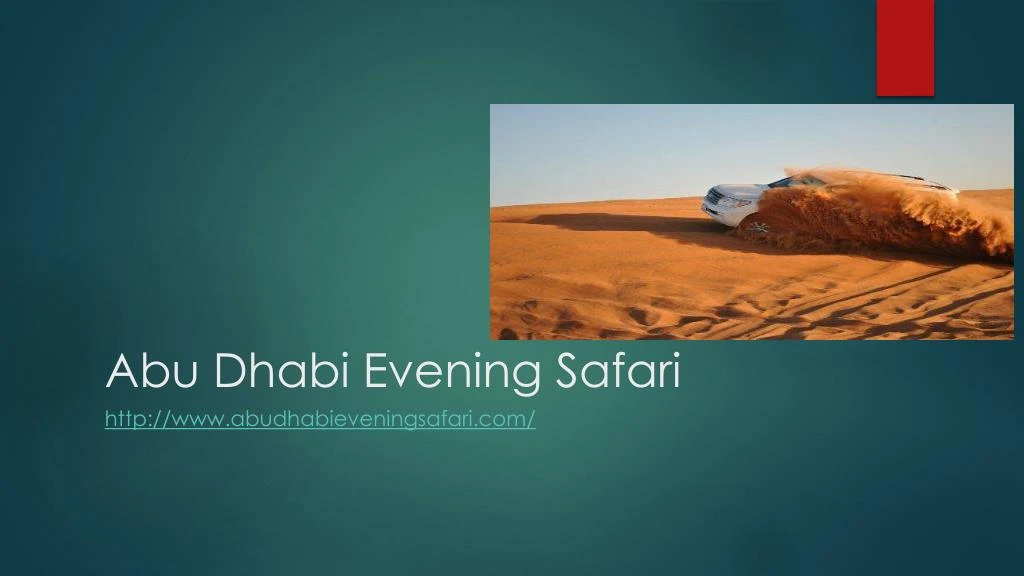 abu dhabi evening safari
