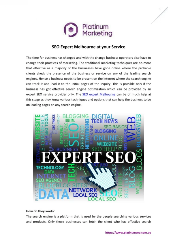 SEO Expert Melbourne at your Service