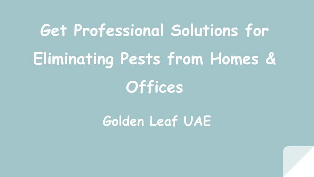 get professional solutions for eliminating pests from homes offices