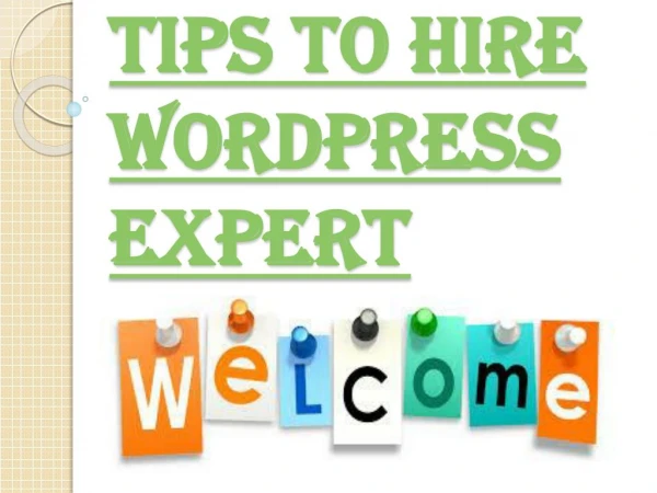 Things to Kept in Mind Before you Hire Wordpress Expert