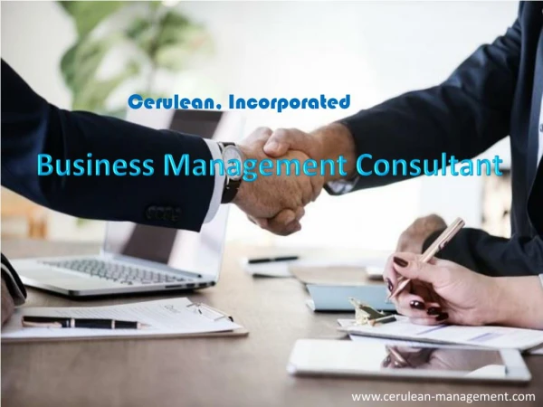Business Management Consultant in Guyana