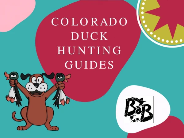 Colorado Duck Hunting Guides