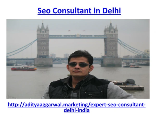 Meet the famous seo consultant in delhi