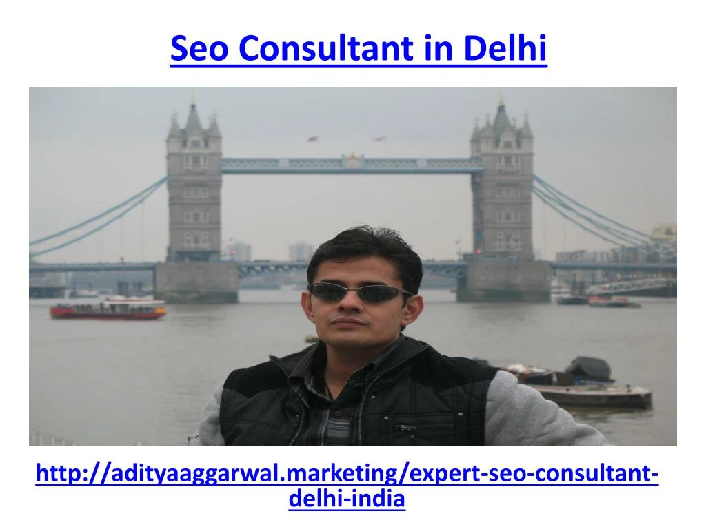 s eo consultant in delhi