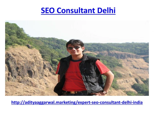 Who is seo consultant delhi