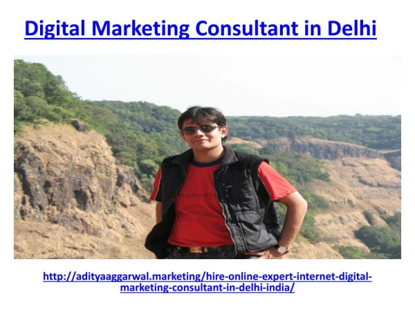 Meet the best digital marketing consultant in delhi