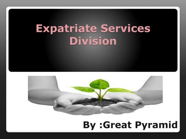 Grab Expatriate Services Division Pass