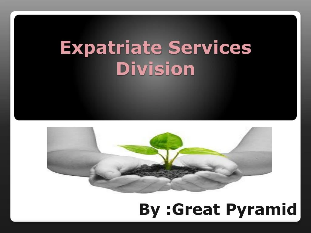 expatriate services division