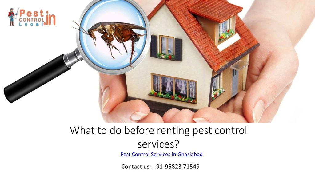 what to do before renting pest control services