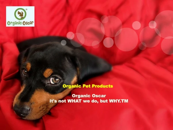 Organic Cat Shampoo - Organic Oscar,CA