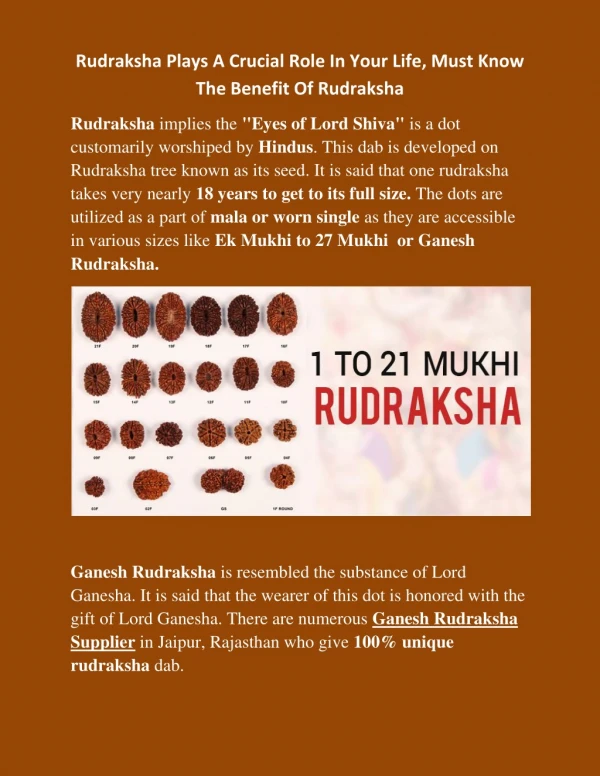 Rudraksha Plays A Crucial Role In Your Life, Must Know The Benefit Of Rudraksha
