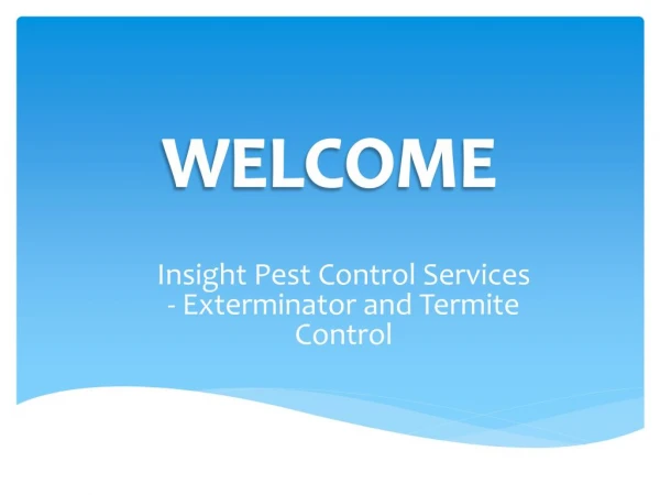 Looking for Pest Control in Kingsford contact Insight Pest Control Services - Exterminator and Termite Control
