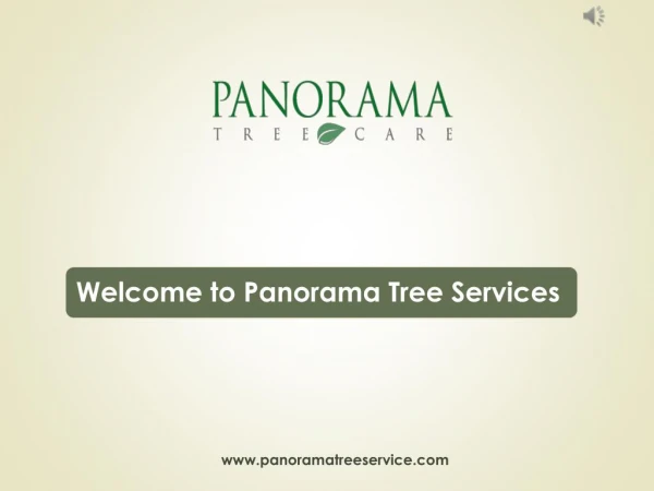Tree Trimming Service Based in Tampa, FL - Panorama Tree Services