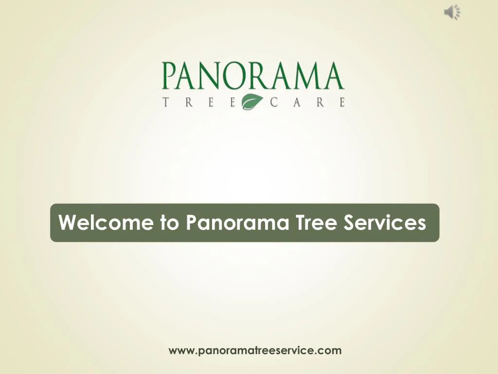 www panoramatreeservice com
