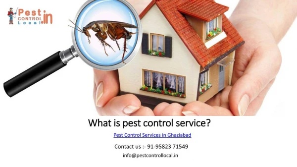 Do you have trouble for Termite and pest control in Ghaziabad?
