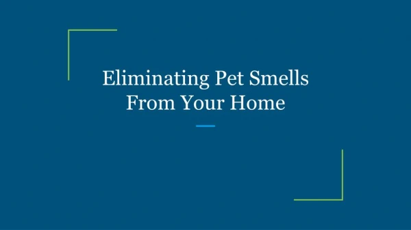 eliminating pet smells from your home