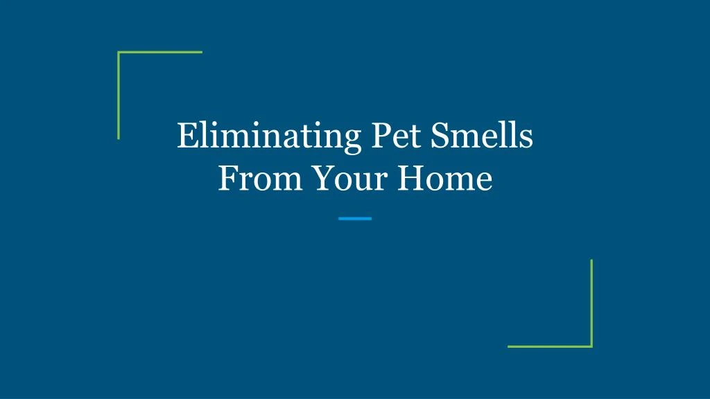 eliminating pet smells from your home