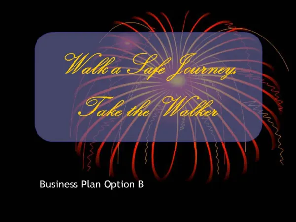 Business Plan Option B