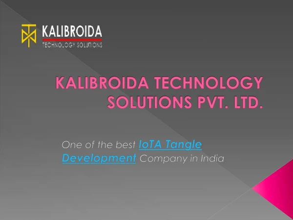 IOTA Tangle Development Company