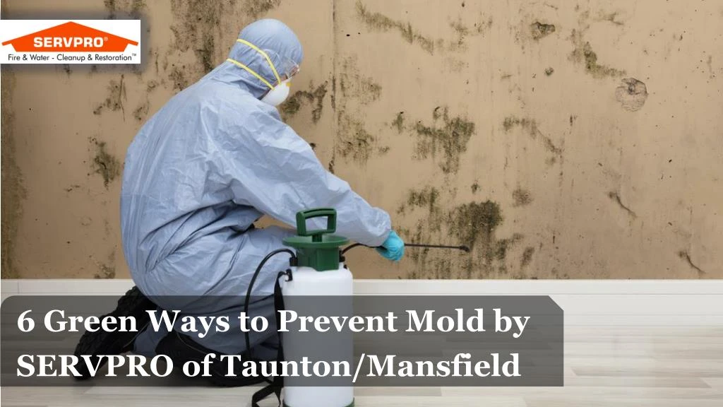6 green ways to prevent mold by servpro