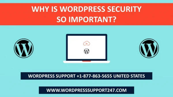 Why Is WordPress Security So Important | WordPress Support