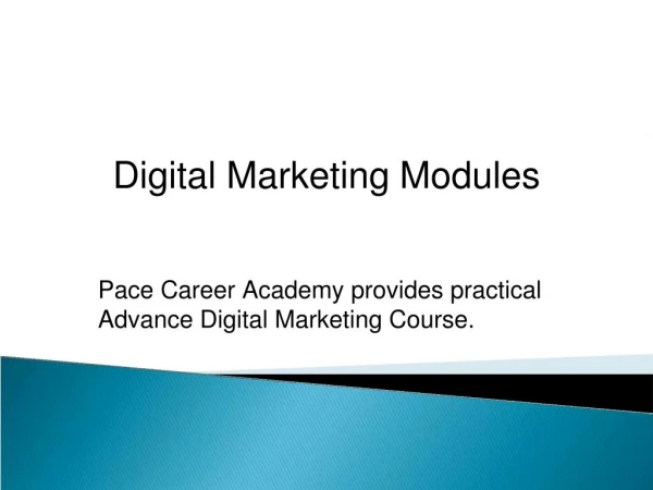 Best Digital Marketing Course in Pace Career Academy