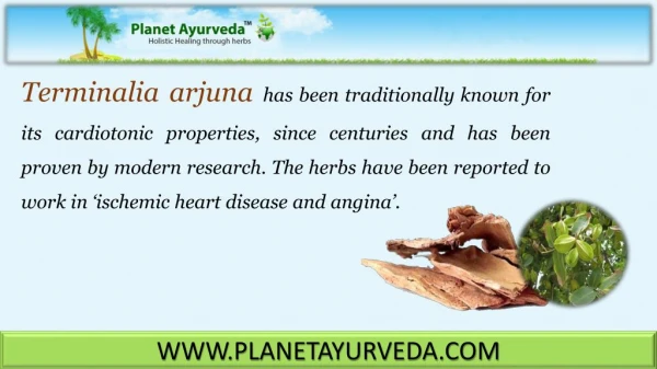 Terminalia Arjuna - Health Benefits, Medicinal Uses & Properties