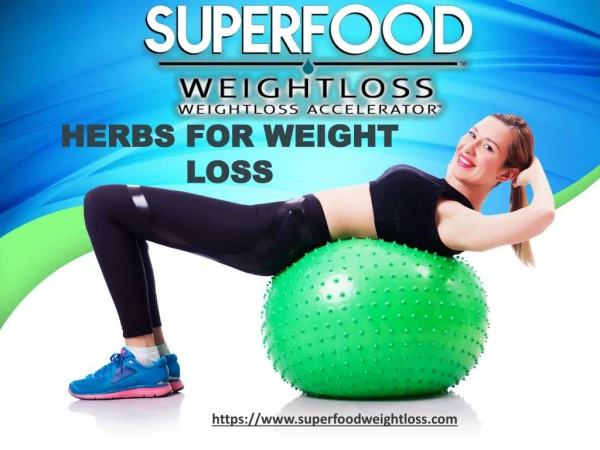 Herbs for weight Loss
