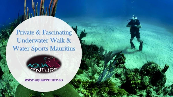 Private & Fascinating Underwater Walk & Water Sports Mauritius