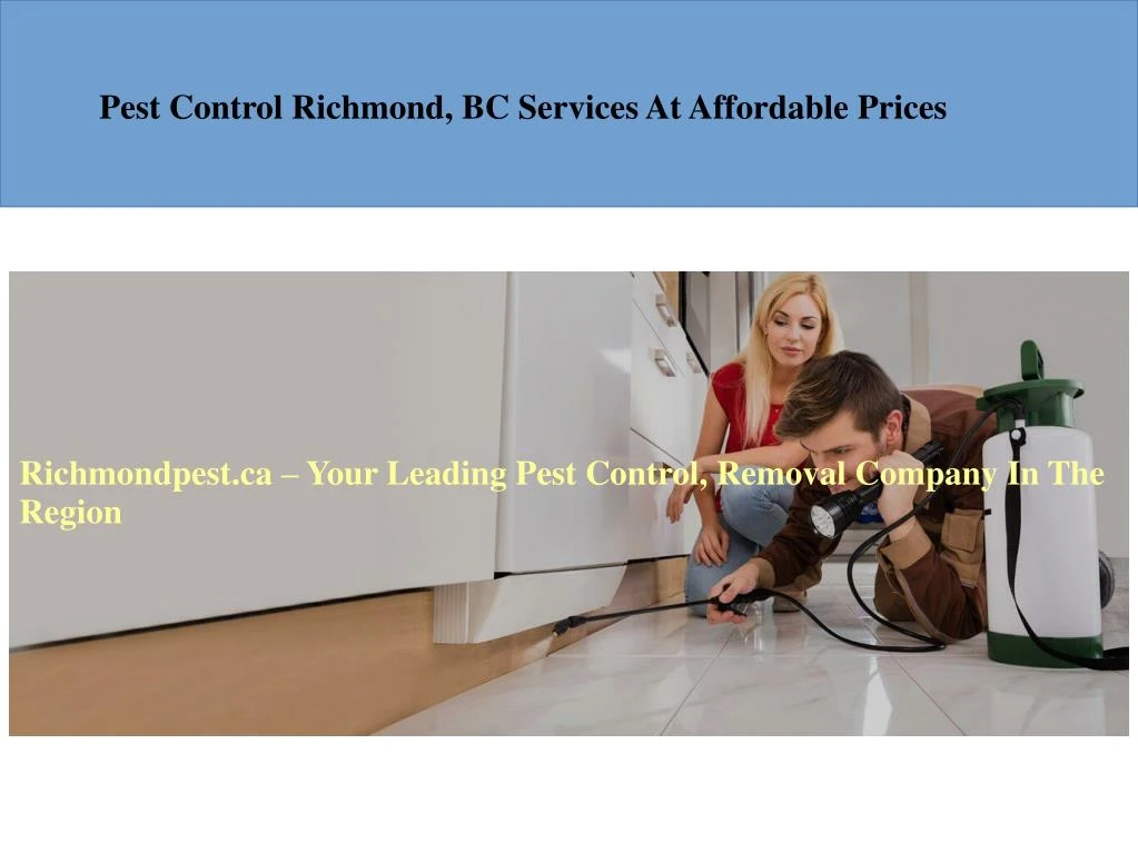 pest control richmond bc services at affordable