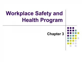 Workplace Safety and Health Program - slide 1
