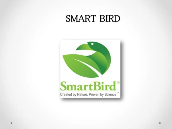 Smart Bird