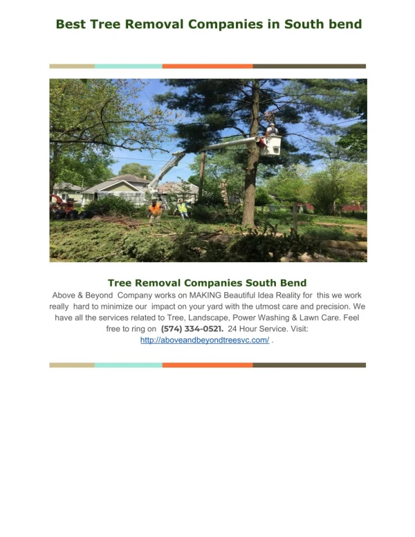 Best Tree Removal Service Company in South Bend, Indiana