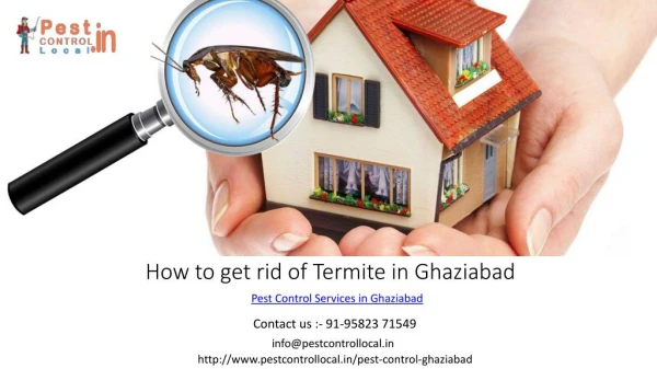 Looking for the best pest control service in Ghaziabad?