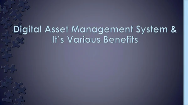 Various Benefits of Digital Asset Management
