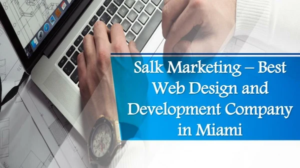 Salk Marketing â€“ Best Web Design and Development Company in Miami