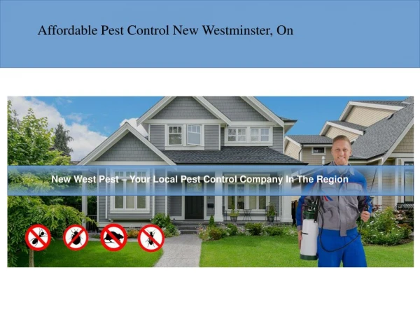 Pest Control New Westminster