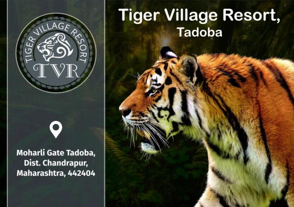 Tadob Tiger Village Resort in TATR